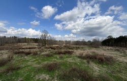 0 Blue Ridge School, Forsyth, GA 31029