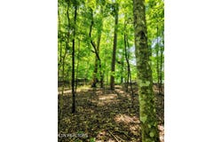 138 Stooksbury Lane, Andersonville, TN 37705