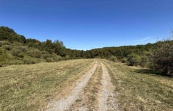 W Junior Road, Junior, WV 26275