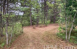 894 US 141, Crystal Falls, MI 49920