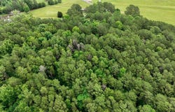 THORNTON LAKE ROAD lot: 1, DORA, AL 35062