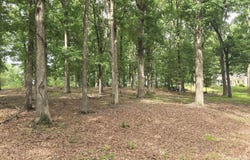 Kerry Dr, Wynne, AR 72396