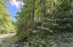 C Shake Hollow, Rabun Gap, GA 30568