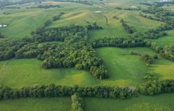 21460 Gully Dr, Green City, MO 63545
