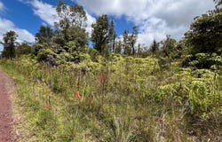 11-3035 WAIMAKA O PELE RD, Mountain View, HI 96771