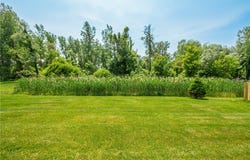 419 Everwild Lane, Walworth, NY 14502