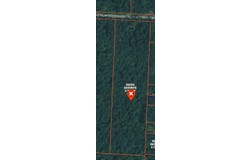 999 E Wilke Road, Rothbury, MI 49452