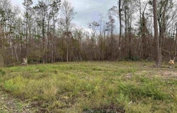 29428 Linda Hvn, Springfield, LA 70462