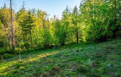 Lot F11 S Idaho Club Dr, Sandpoint, ID 83864