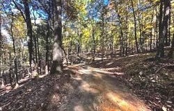 0 LOWER ARKANSAS ROAD, BAKER, WV 26801