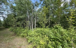 Emils Landing Road, Hillman, MI 49746