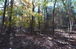 0 Dusty, Bowman, GA 30624