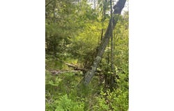LAKE JOHN Road, LAKEWOOD, WI 54138