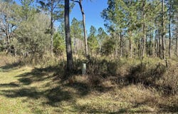 NE 135TH Court, Raiford, FL 32083