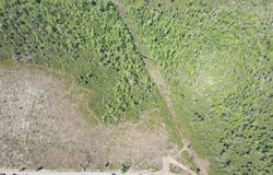 TBD NW John F. Bailey Rd., Blountstown, FL 32424
