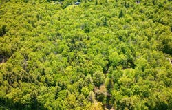 983 Stoney Brook Road, Springfield, NH 03284