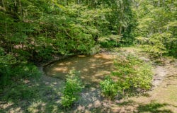 1995 Lower Cane Creek Road, Stanton, KY 40380