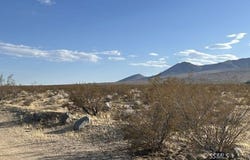 Placer, Inyokern, CA 93527