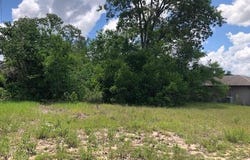 Lake Forest Avenue, Spring Hill, FL 34609