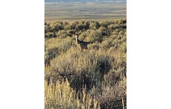 Old Flathead Creek Rd, Wilsall, MT 59086