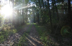 Garland Road, Henderson, TN 38340