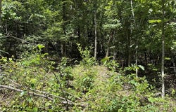 780-01045-000 Saint Clair  TR, Pyatt, AR 72672