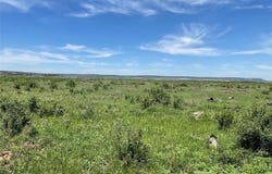 Tbd 25 acres CR 343, Merkel, TX 79536