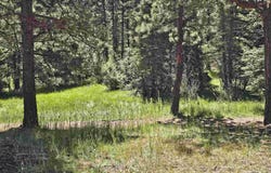Calle de los Indios lot: 58, Angel Fire, NM 87710