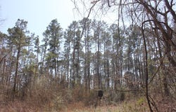 PID 3483 FM 83, Broaddus, TX 75929