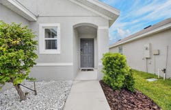 579 OLIVE CONCH Street, RUSKIN, FL 33570