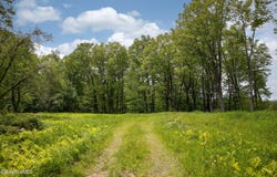 Lot 7 New Marlborough Hill Rd, New Marlborough, MA 01230