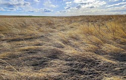 TBD Road 1W, Bushnell, NE 69128
