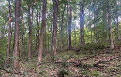 4300 Mechanicsburg Rd, Wooster, OH 44691