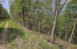 HIGH VIEW ROAD, OLD FIELDS, WV 26845