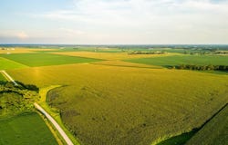 000 N 525th Rd-51.91-acers, Colchester, IL 62367