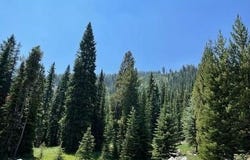 28 LOW DOG Road, Big Sky, MT 59716