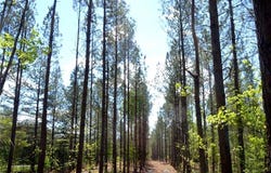 00 Dibrell Road, Pelham, NC 27311