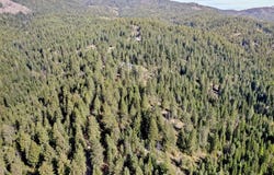 12703 S Alpine Fern Ln, Rockford, WA 99030