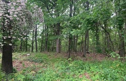 105 Laurel Lane, Port Jefferson, NY 11777