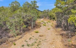 Pinabete Road lot: 85, Questa, NM 87556