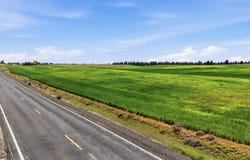W Deno Rd, Medical Lake, WA 99022