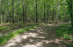 M5 L24 Goosepecker Ridge, Montville, ME 04941