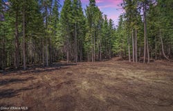 Nka Wandering Wolf Ridge, Lot 3, Clark Fork, ID 83811
