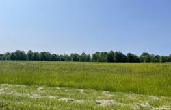 18487 Smokey Road, Marysville, OH 43040