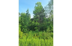 000 14 Mile Rd, Leroy, MI 49655