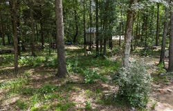 14313 FM 645, Palestine, TX 75803