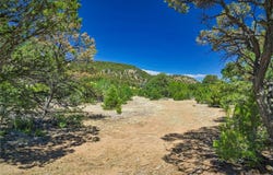 Rikki Rowdy Place, Aguilar, CO 81020