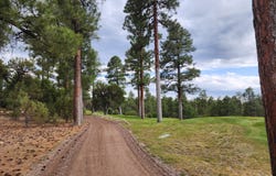 4311 W Hawthorn Road, Show Low, AZ 85901