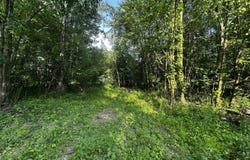 250 N County Road 200 E N, Winamac, IN 46996