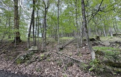 River Road 2, Damascus, PA 18415